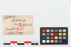 Etiketten zu Bronzebrillenfibel (NHMW-PRAE-025015)
